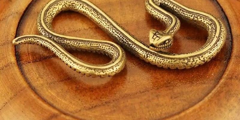 Chiêm bao cắn rắn là điềm báo tốt lành Chiêm bao cắn rắn là điềm báo tốt lành