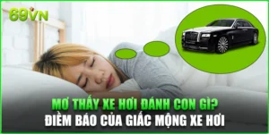 Mơ thấy xe hơi đánh con gì