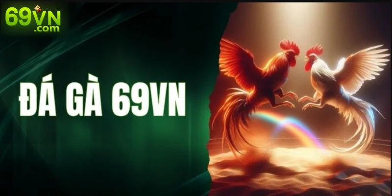 69VN Stoneleighs | Link Vào 69VN Chính Thức Mới Nhất 2025 Đá gà là sảnh chơi không thể bỏ qua cho những tín đồ đam mê môn thể thao “chọi kê”.
