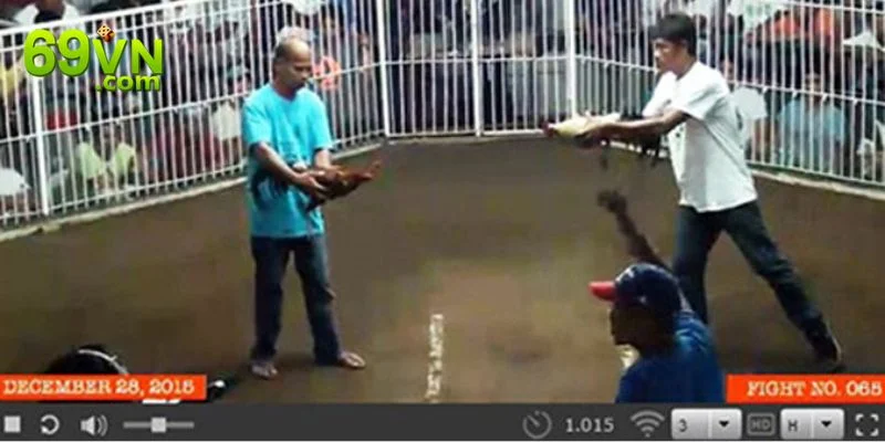 Xem Trực Tiếp Đá Gà: Trải Nghiệm Cá Cược Lôi Cuốn Tại 69VN Xem trực tiếp đá gà 69VN mang lại tính tiện lợi cao.